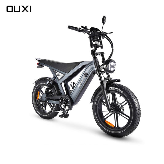 Fatbike C80 MAX (Doppelakku)