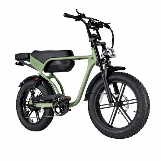 RSE Elektrische Fatbike