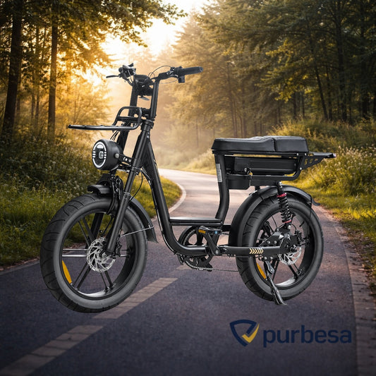 C28 Elektrische Fatbike