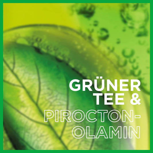 Garnier Fructis Anti-roos shampoo Classic – claim visual – Purbesa Care