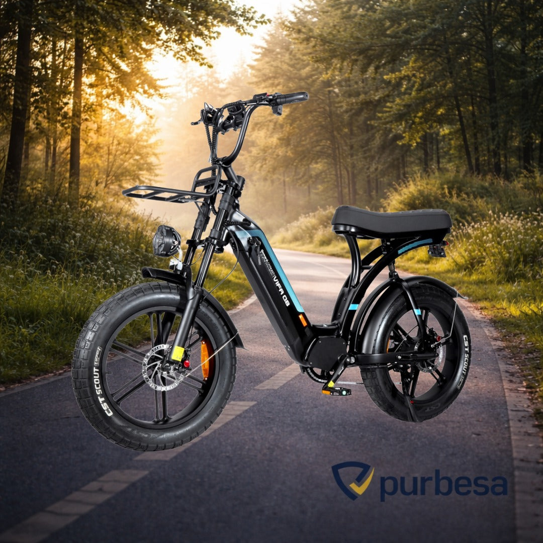 Q8 Elektrisches Fatbike