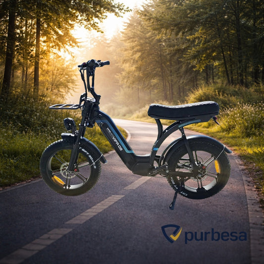 Q8 Elektrisches Fatbike