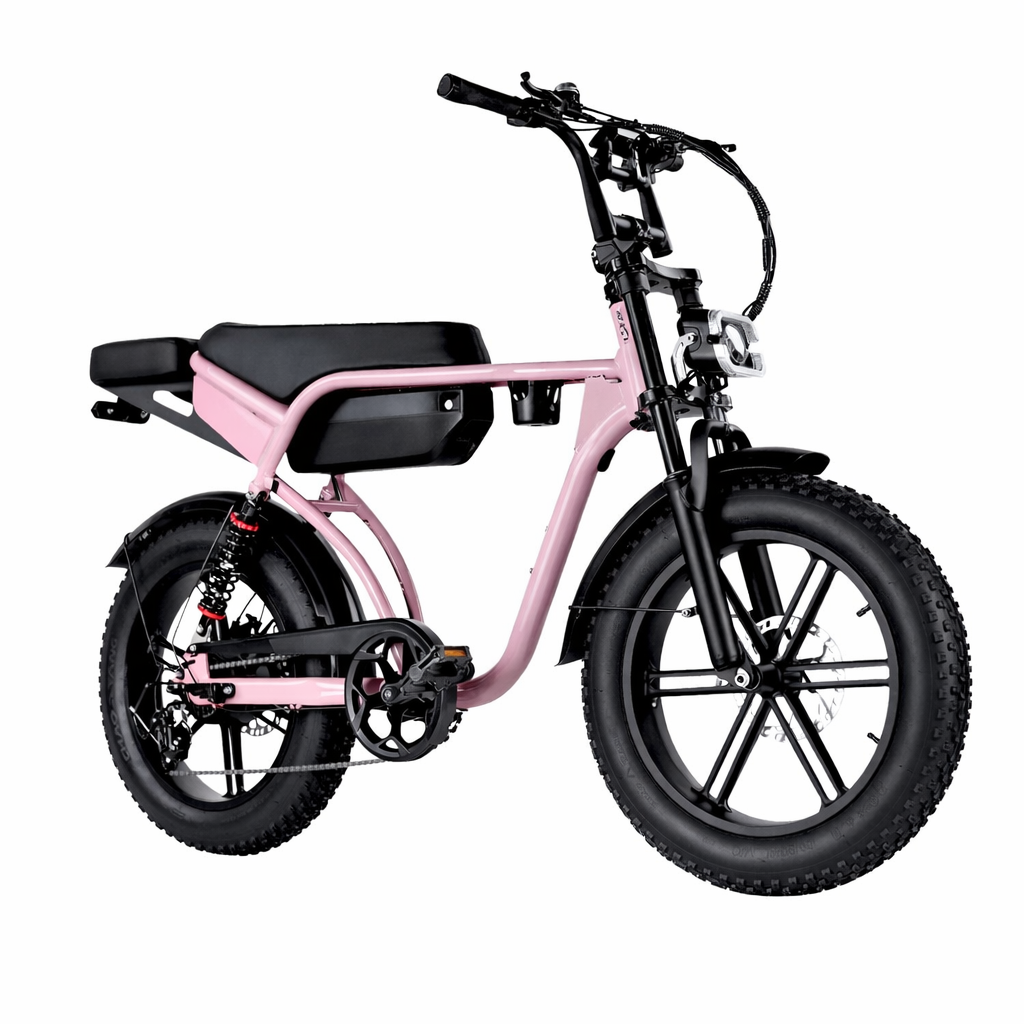 RSE Elektrische Fatbike