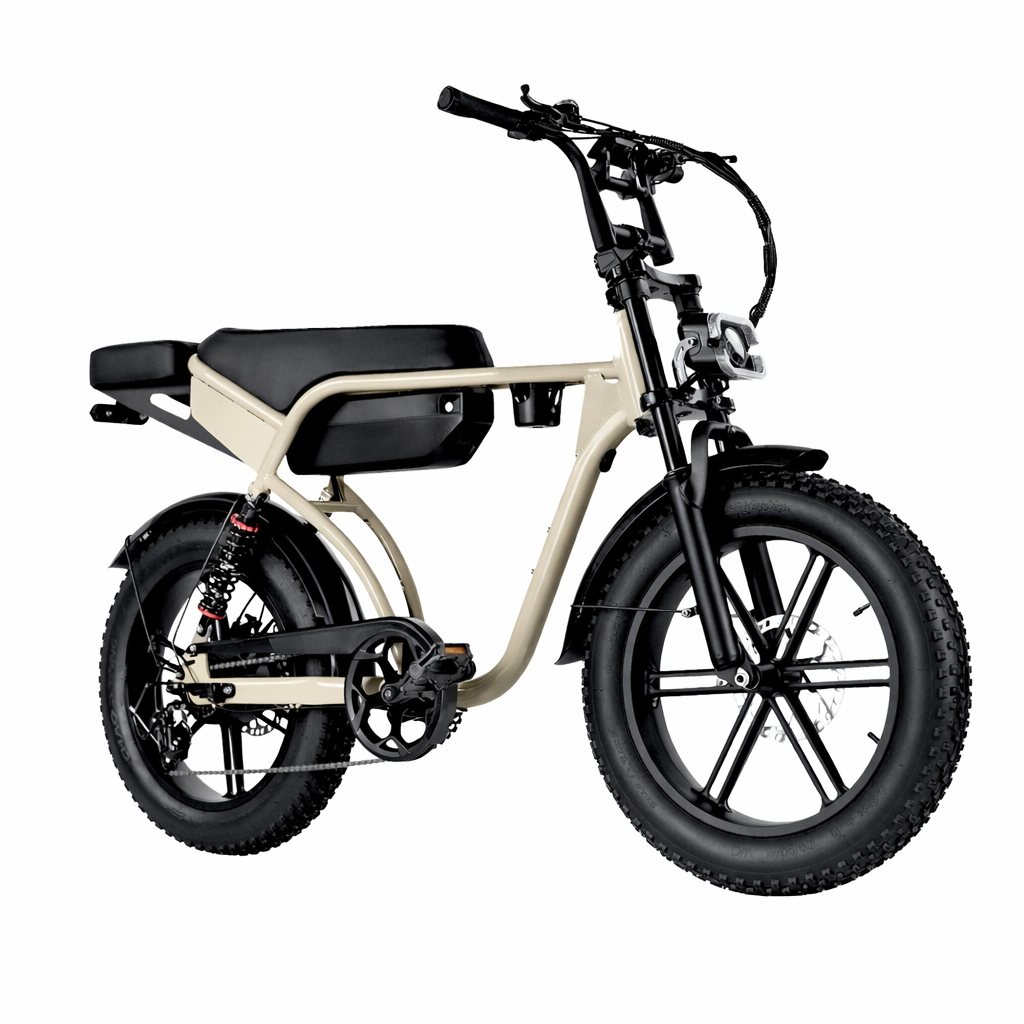 RSE Elektrische Fatbike