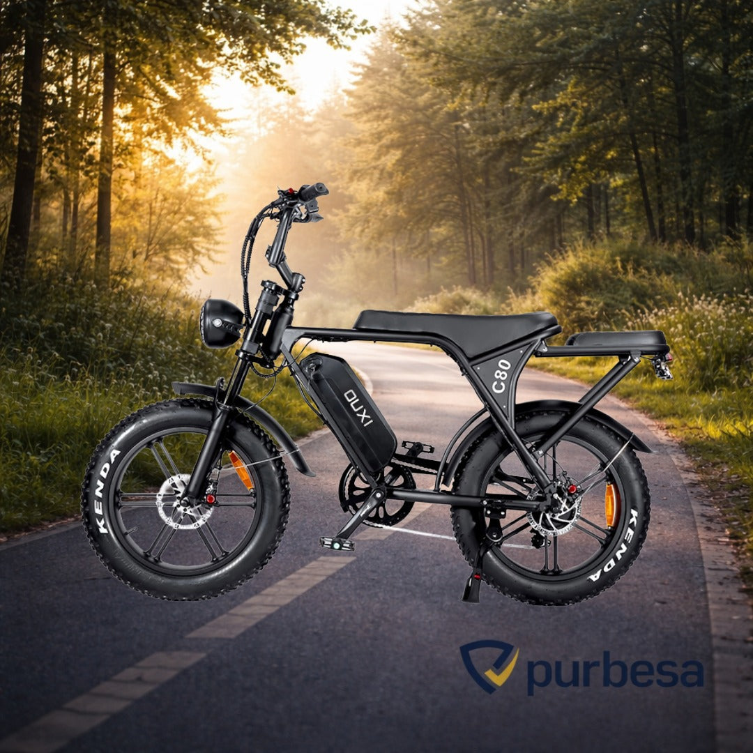 elektrische mountainbike fatbike Fatbike C80