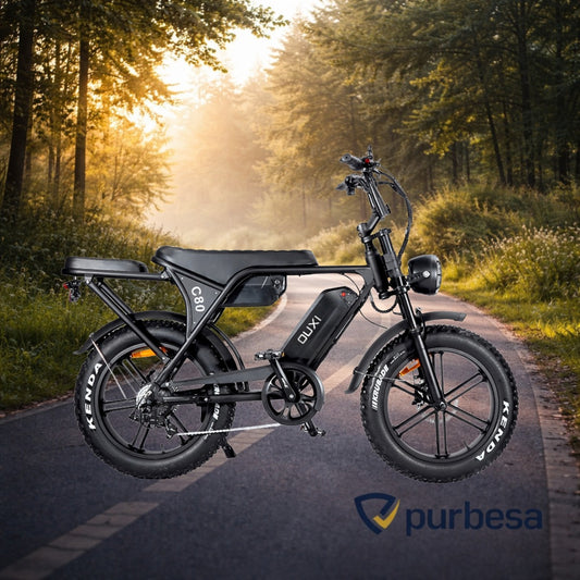 Fatbike C80 MAX (Doppelakku) 