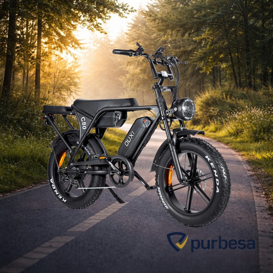 Fatbike C80 MAX (Doppelakku) 