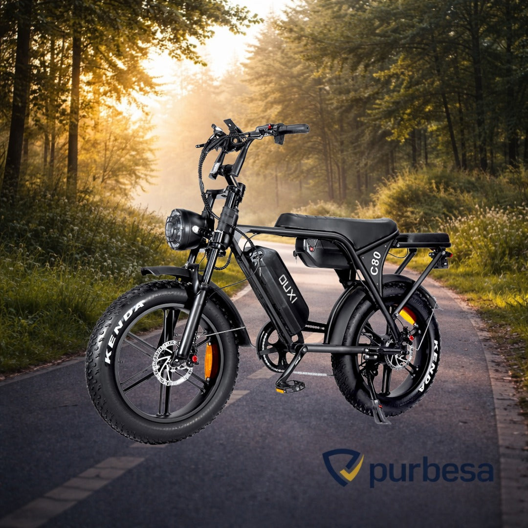 Fatbike C80 MAX (Doppelakku) 