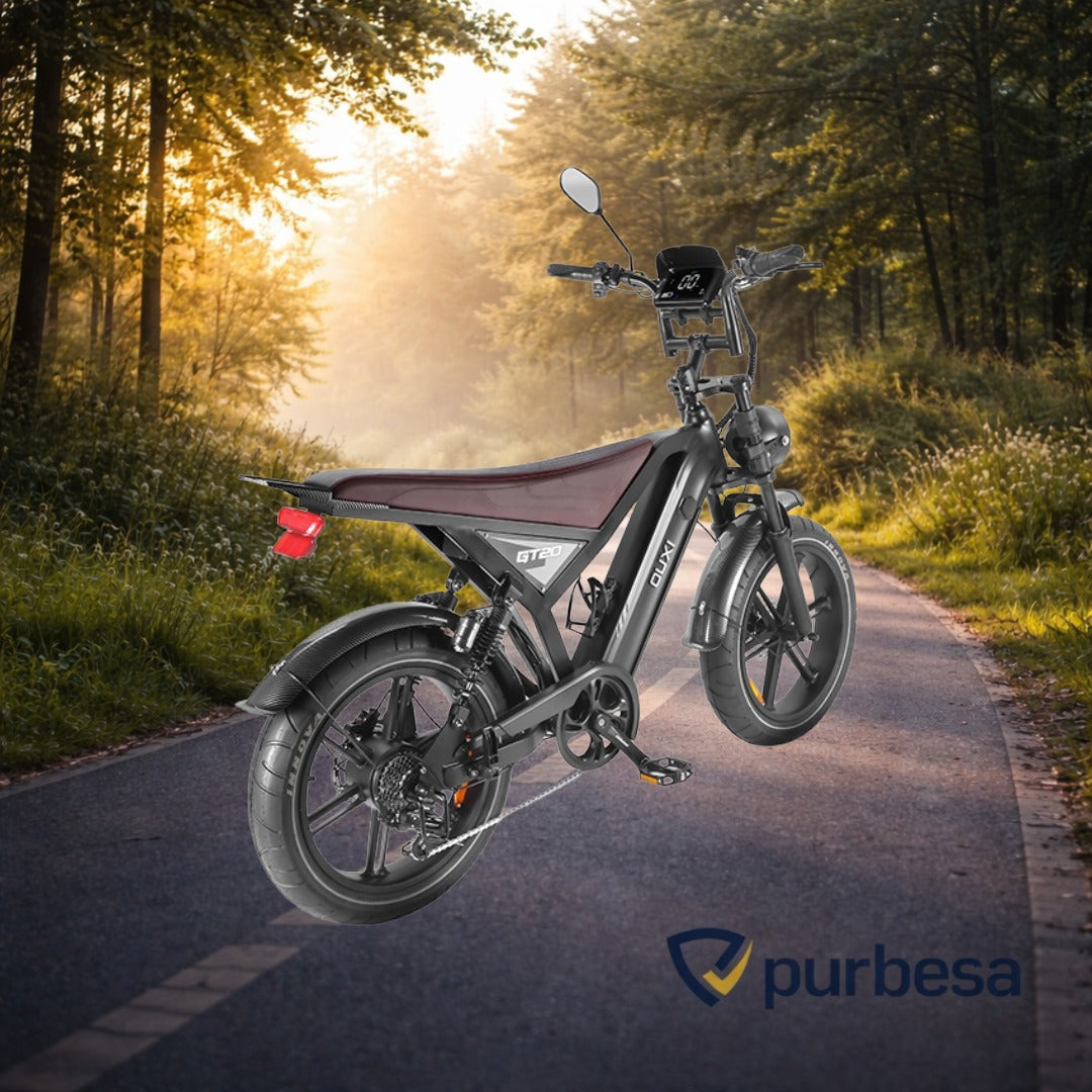 Fatbike C80 MAX (Doppelakku) 