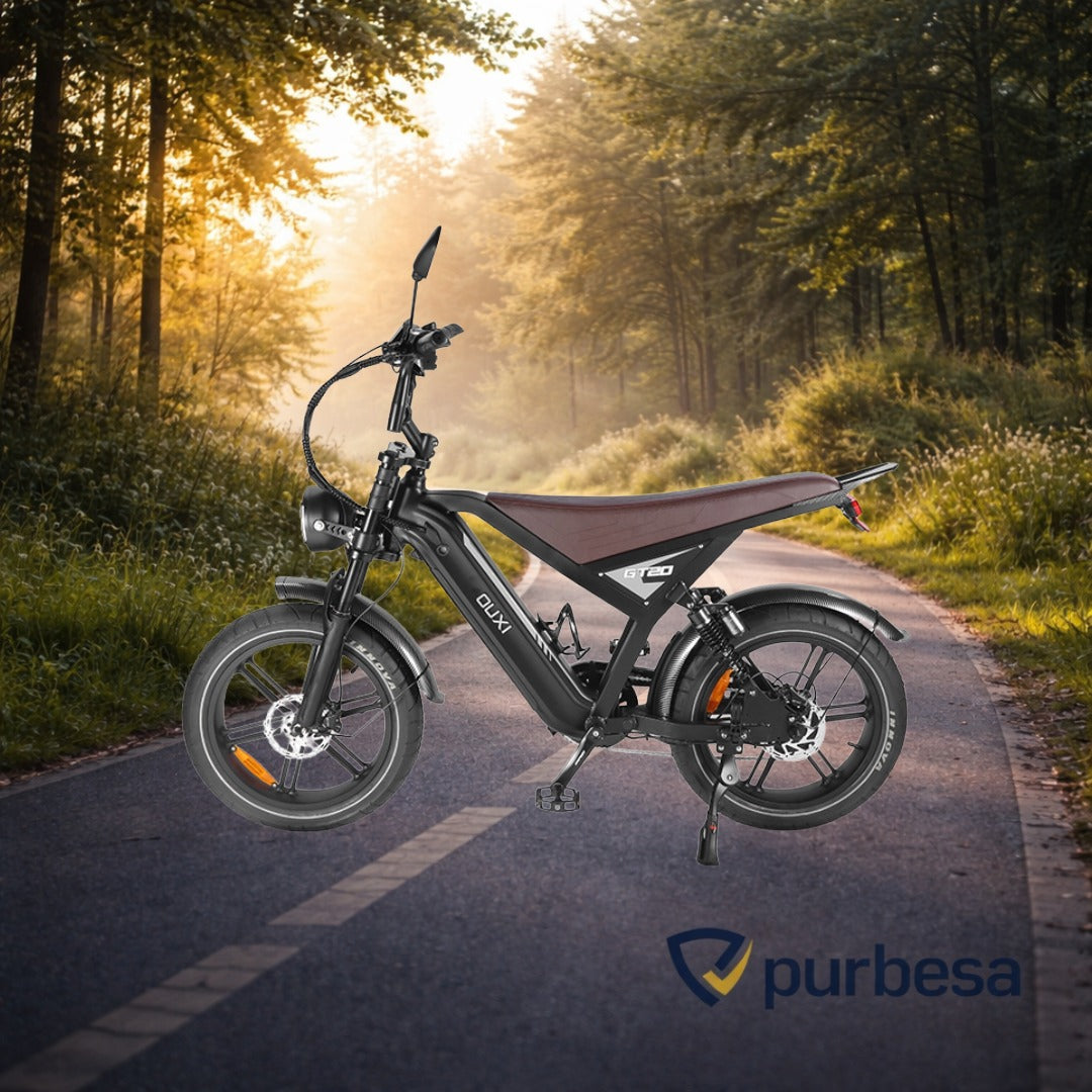 Fatbike C80 MAX (Doppelakku) 