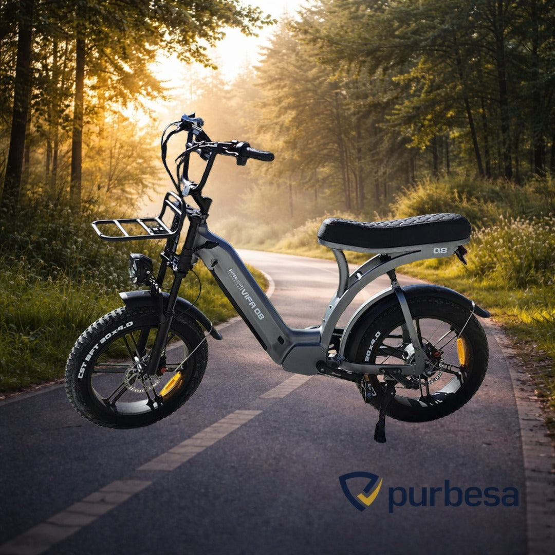 Q8 Elektrisches Fatbike