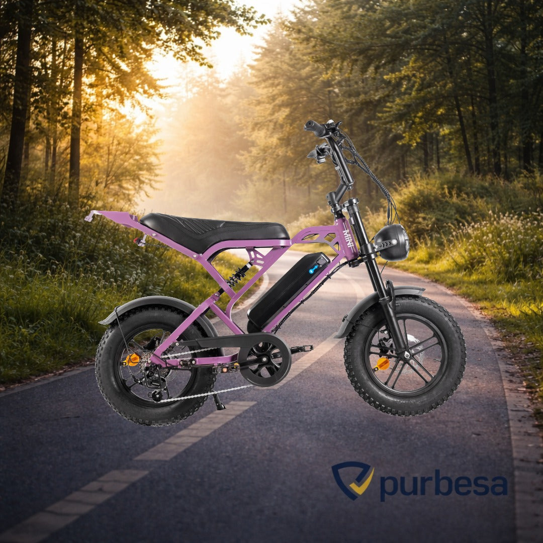 V20 pro - Mini Fatbike