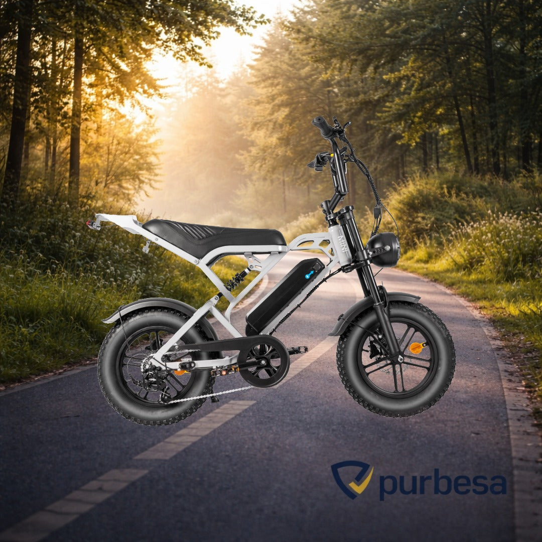 V20 pro - Mini Fatbike