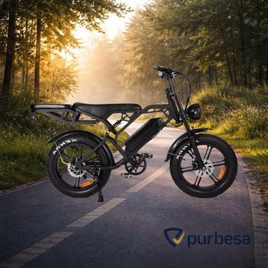 V20 Pro Elektrisches Fatbike