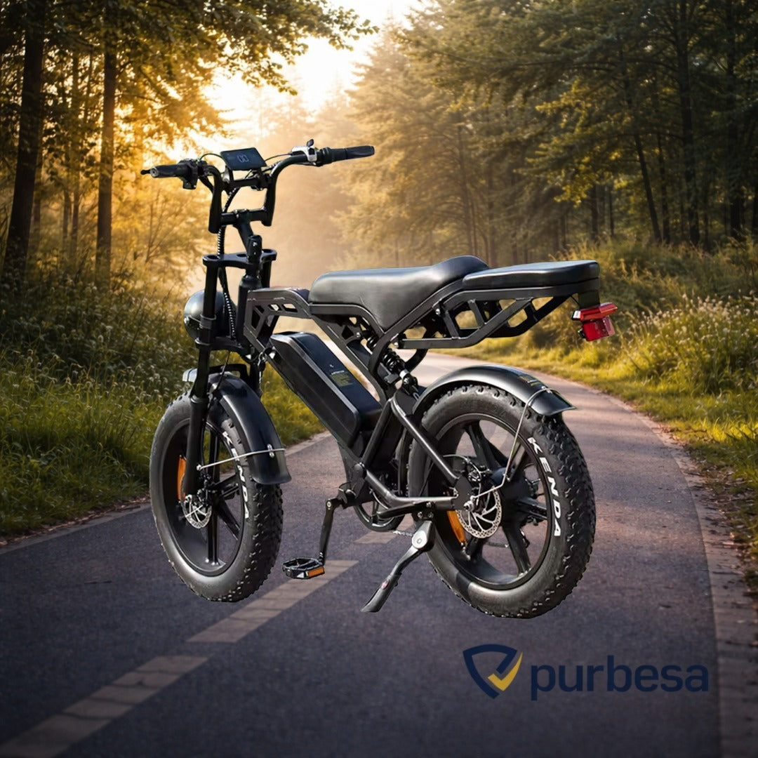 V20 Pro Elektrisches Fatbike